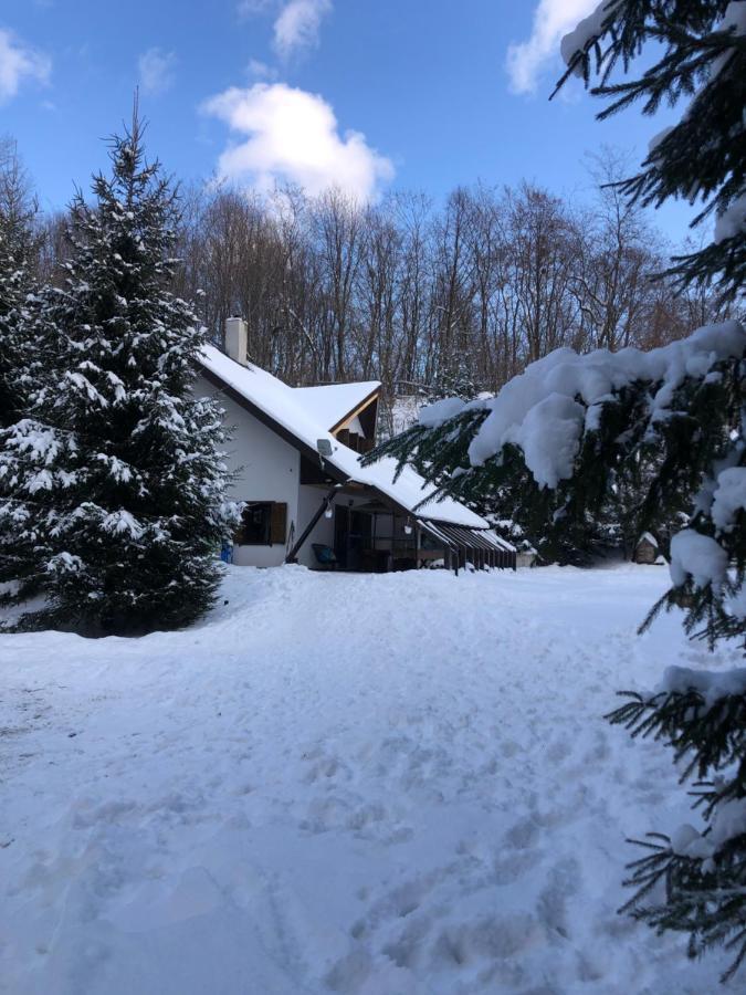 Cabana Praid Villa Kültér fotó