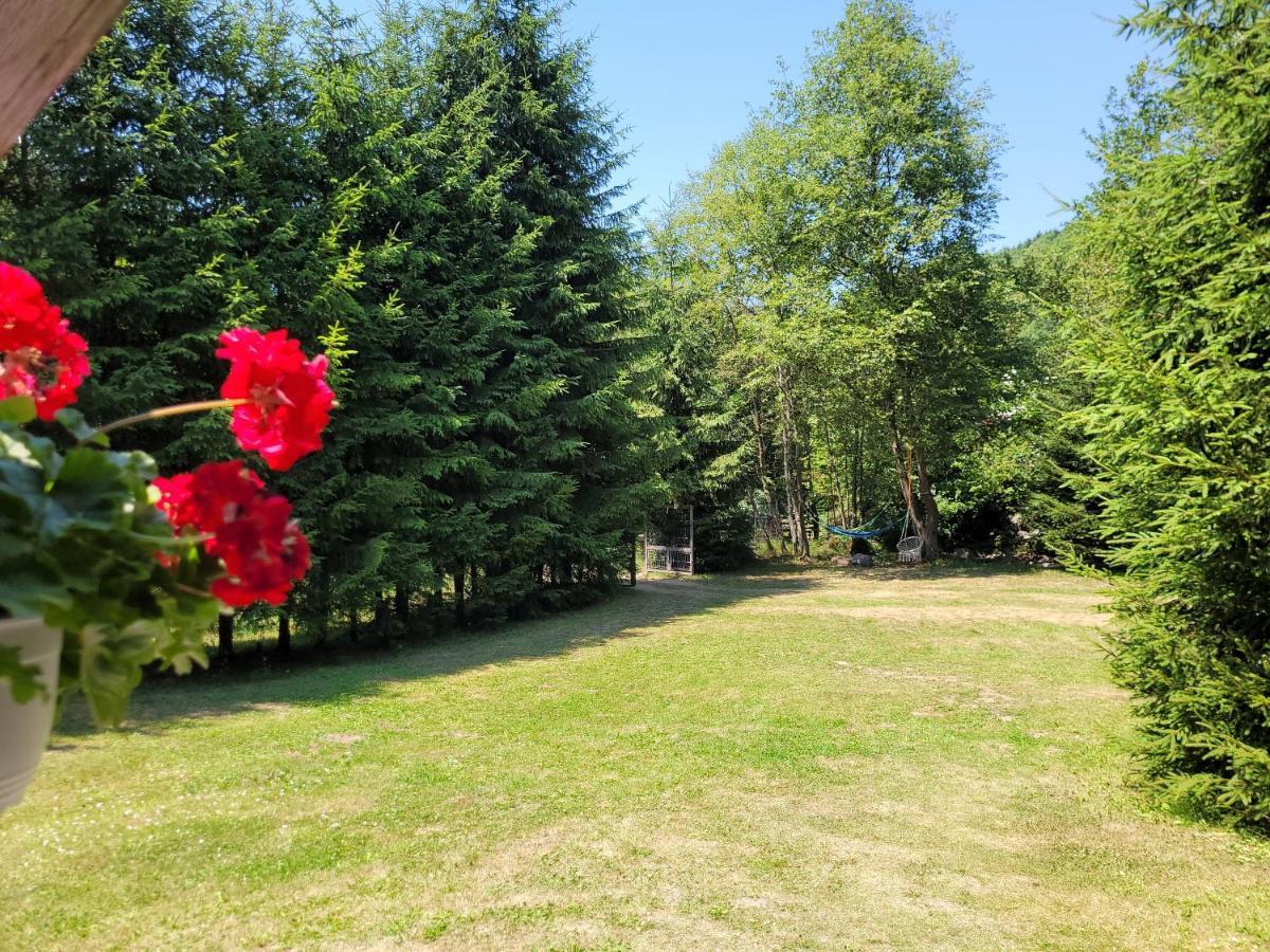 Cabana Praid Villa Kültér fotó